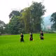 谅村——备受国内外游客青睐的社区旅游目的地。图自越通社
