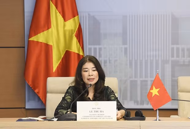 越南出席各国议会联盟民主与人权常设委员会视频会议 ảnh 1