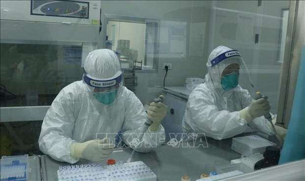 资料图:新冠病毒检测工作得以进一步加强。图自越通社 越南新冠肺炎死亡病例增至43例 ảnh 1