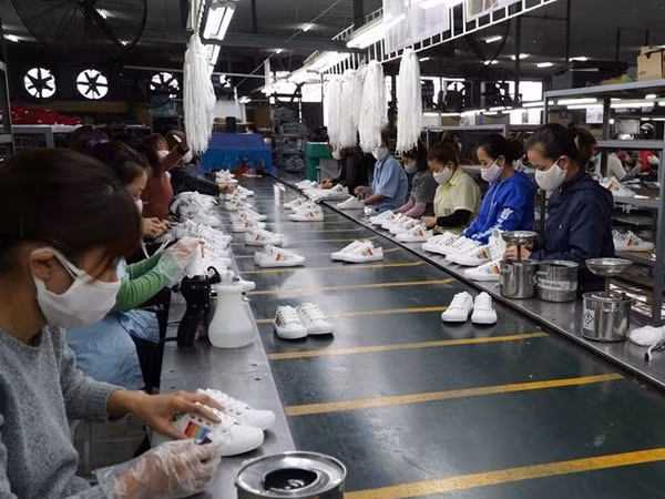 越南与智利的自由贸易协定为促进双方贸易增长注入动力 ảnh 1