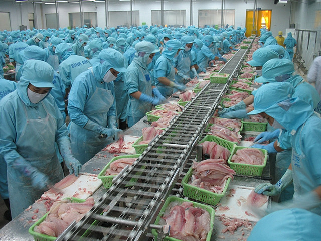 资料图。图自越通社 2021年越南水产品出口有望实现良好增长水平 ảnh 1