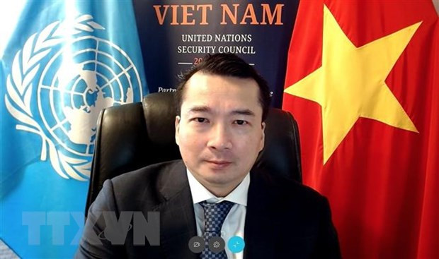 越南与联合国安理会：通过有关利比亚局势的两份决议并就防止大规模杀伤性武器进行讨论 ảnh 1