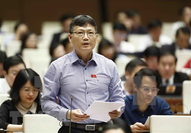 同奈省国会代表黎黄海发表讲话。图自越通社 第十五届国会第四次会议:数字化转型是越南迈上更高层级的有利条件 ảnh 1