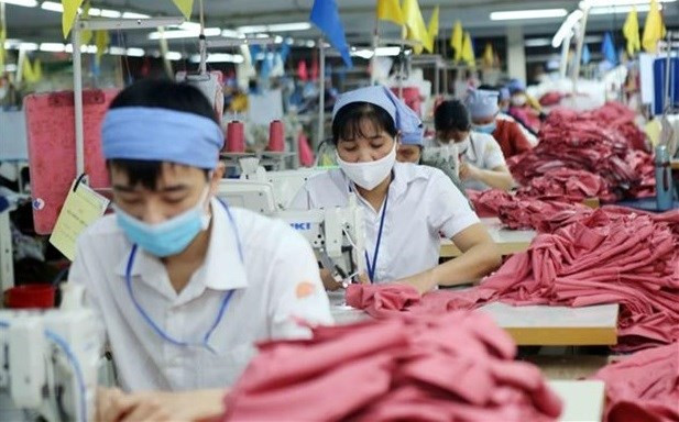 越南企业积极利用CPTPP协定实现出口的快速增长。图自越通社 越南企业积极利用CPTPP协定实现出口的快速增长 ảnh 2