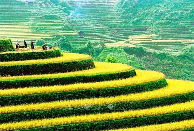 第十一届越南国际摄影大赛正式启动