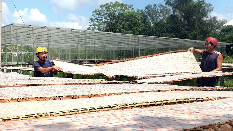 茶荣省梂昂县顺花乡努公村努公粿条合作社社员们在晾晒粿条-获评为OCOP三星级的产品。