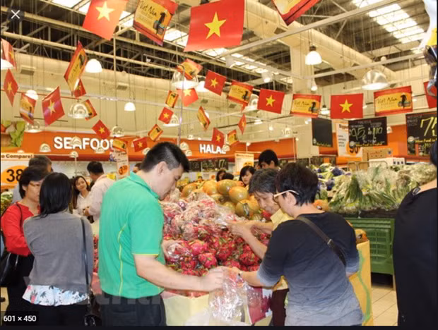 越南商品进入新加坡市场的机遇