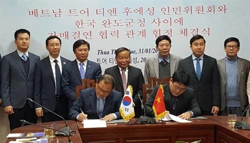 承天顺化省深化与韩国的合作