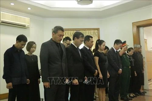 越南原国家主席黎德英吊唁仪式在印度尼西亚等国家举行