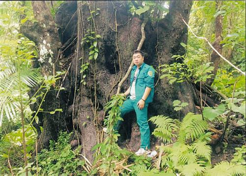 昆山岛国家公园3大古老树木被列入越南遗产树名录