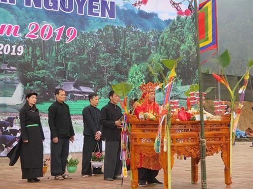 越南山区各族同胞欢庆下田节