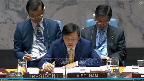 越南与联合国安理会：越南主持召开也门局势公开会