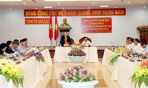越南国会主席阮氏金银赴嘉莱省调研
