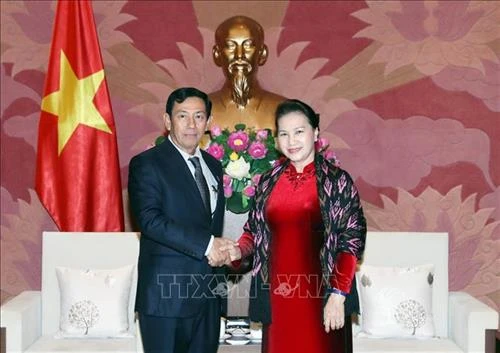阮氏金银会见缅甸巩固与发展党高级代表团