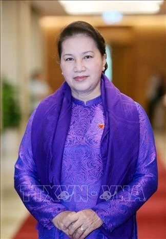 越南国会主席阮氏金银：共同携手保护东盟共同家园