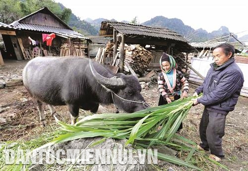 莱州省推动边境地区家庭经济发展
