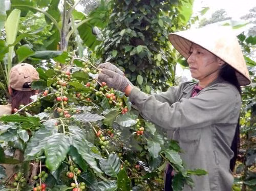 今年前5月农业贸易顺差近33亿美元