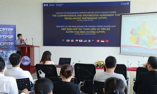 岘港努力掌握与加拿大经营合作机会 