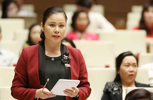 越南第十四届国会第六次会议：质询活动进入最后一天