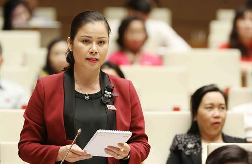 越南第十四届国会第六次会议：质询活动进入最后一天