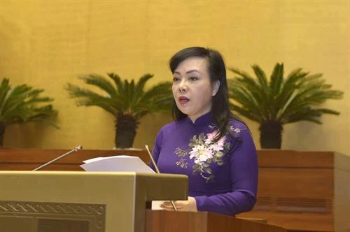 第十四届国会第六次会议：讨论规划工作有关各法律修改补充法律草案
