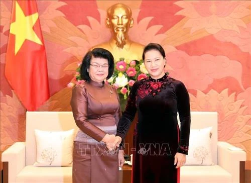 越南国会将同柬埔寨国会携手共促两国政府和人民的合作