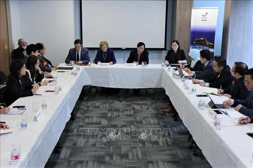 2020东盟主席年：越南主持召开驻联合国东盟委员会会议