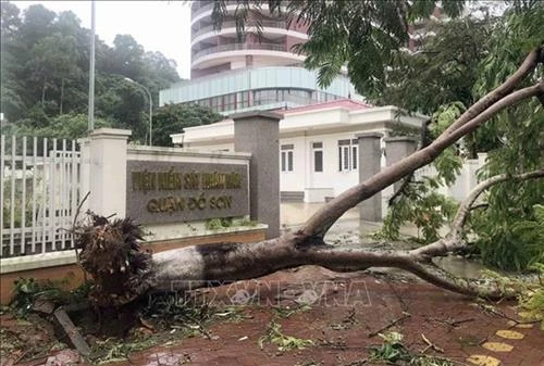 第2号台风“木恩” 登陆越南海防市和南定省一带