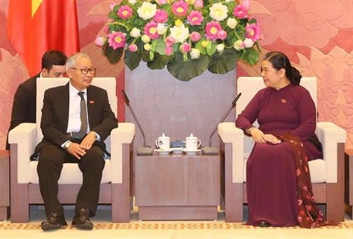 缅甸全国民主联盟高级代表团访问越南