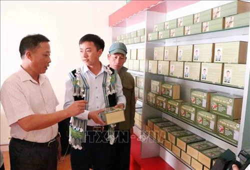 蒙族小伙子的药方为肝病患者点燃希望