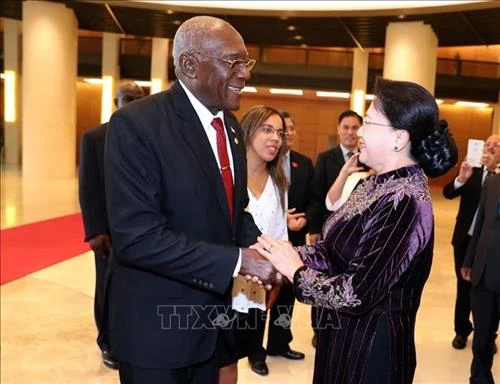 越南国会主席阮氏金银会见古巴国务委员会第一副主席兼第一副部长会议主席