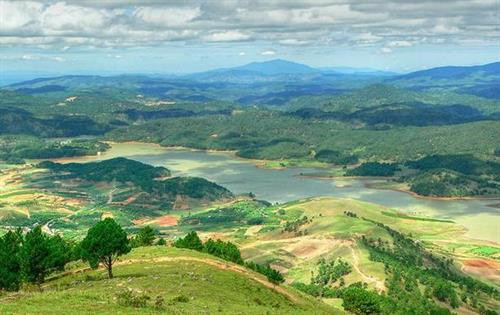 林同省浪平山上种植1000棵喜马拉雅樱桃树