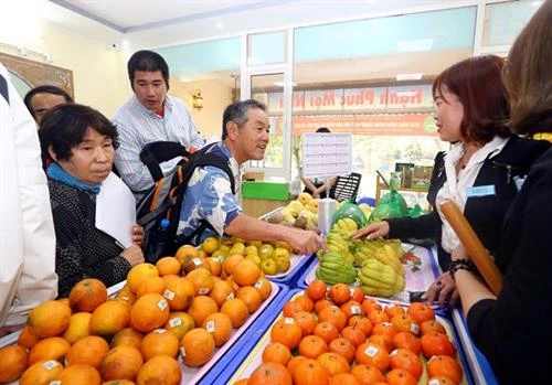 日本企业寻找对越南农产品投资合作商机