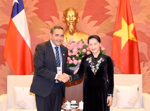 越南国会主席阮氏金银会见智利众议院议长