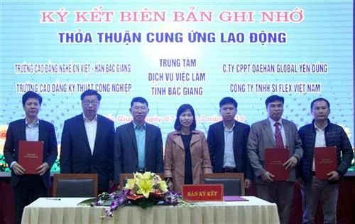 北江省举行在线招聘会 与11个省市直接连线