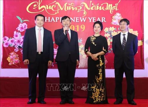 2019己亥年迎春见面会在美国纽约举行