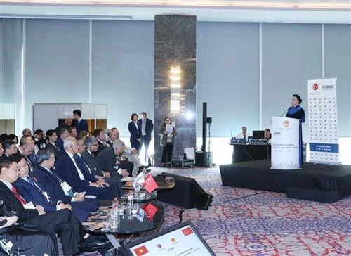 越南国会主席阮氏金银出席土耳其越南经营投资论坛