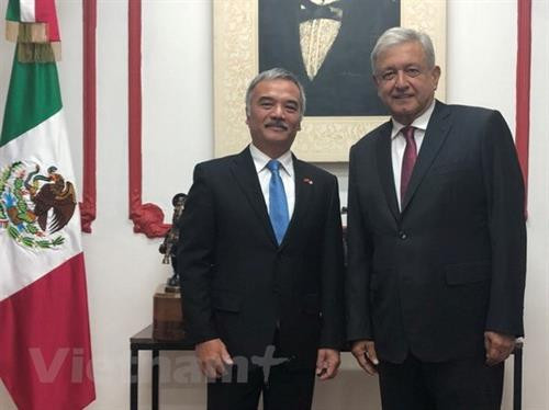 墨西哥当选总统希望与越南加强合作