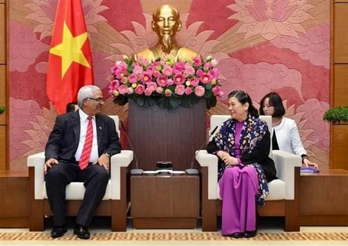 越南国会常务副主席丛氏放会见古巴司法部代表团