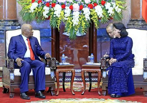 越南国家代主席邓氏玉盛会见原莫桑比克总统 