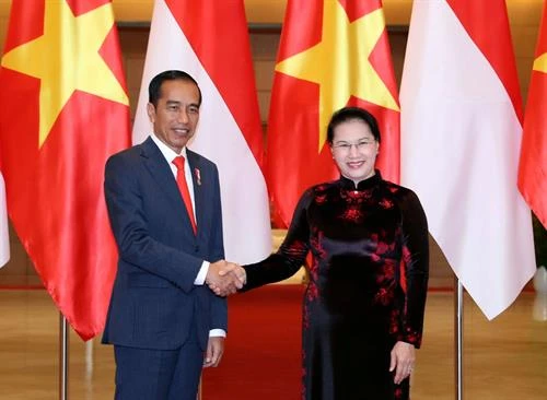 国会主席阮氏金银会见印尼总统佐科·维多多