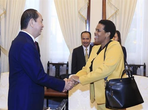 越南国家主席陈大光会见南非驻越大使
