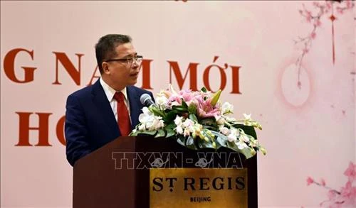 越南驻华大使馆举行迎春活动