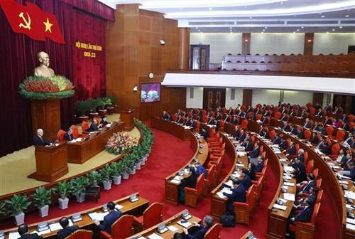 努力做好越共第十三届中央委员会委员候选人预备人选推荐提名工作