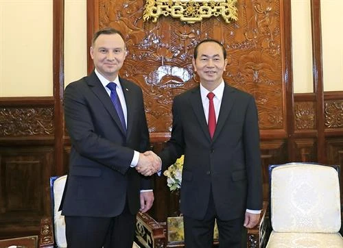 越南国家主席陈大光与波兰总统安杰伊•杜达举行会谈