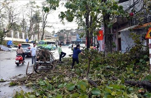 安沛省、老街和宣光三省遭受龙卷风和大暴雨袭击多间房屋受损