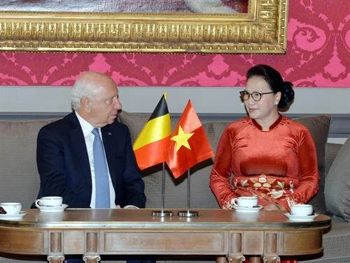 越南国会主席会见比利时联邦参议长布罗奇 