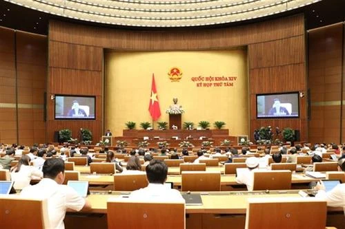 越南第十四届国会第八次会议：集中讨论两部法案