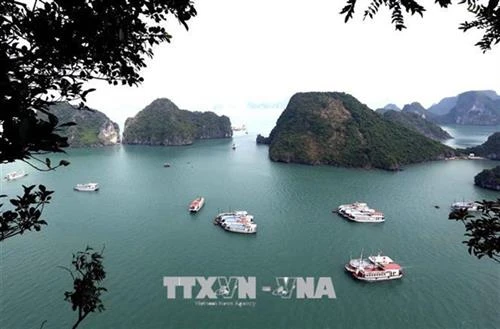 2019年东盟旅游论坛将于本月中旬在广宁省举行 