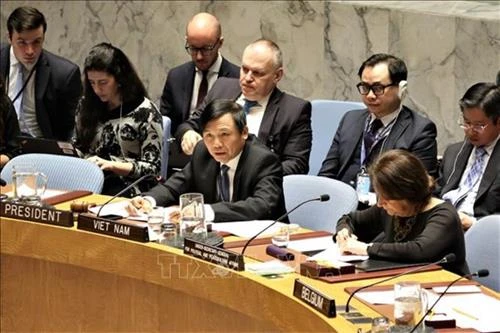 越南与联合国安理会：越南主持召开联合国安理会关于以色列和巴基斯坦局势公开会